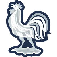 France badge